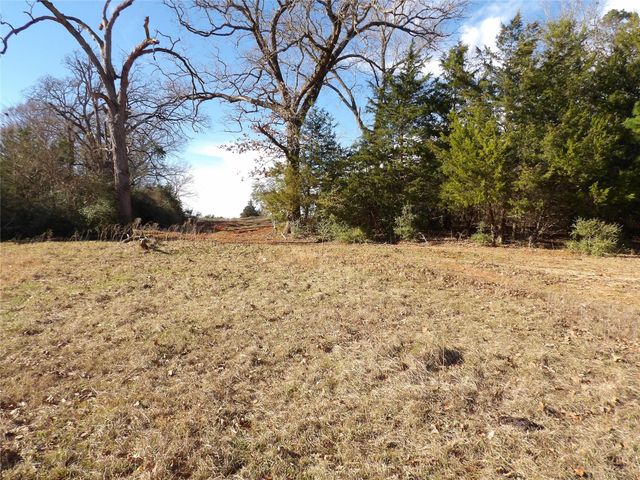 TBD Fm 1272, Grapeland, TX 75844