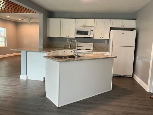 1219 SNOWBERGER AVENUE, Leesburg, FL 34748