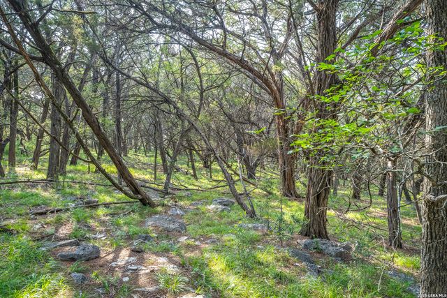 9918 KOPPLIN RD, New Braunfels, TX 78132