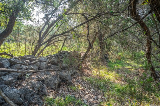 9918 KOPPLIN RD, New Braunfels, TX 78132