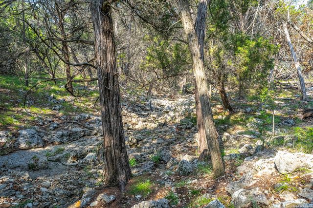 9918 KOPPLIN RD, New Braunfels, TX 78132