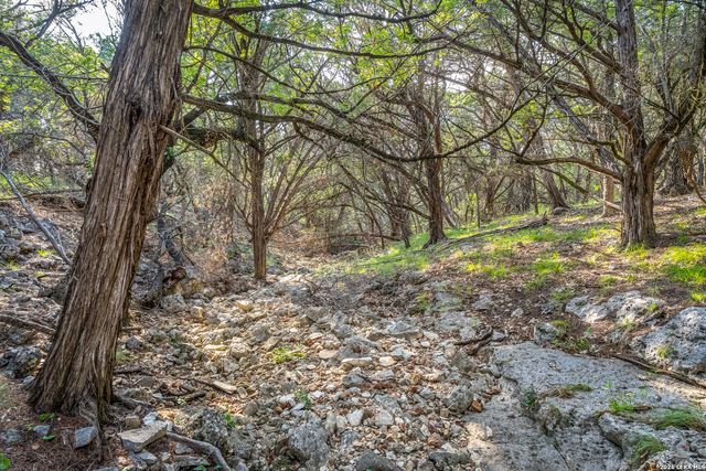 9918 KOPPLIN RD, New Braunfels, TX 78132