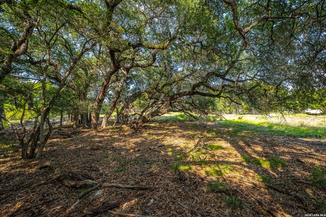9918 KOPPLIN RD, New Braunfels, TX 78132