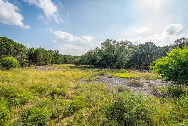 9918 KOPPLIN RD, New Braunfels, TX 78132