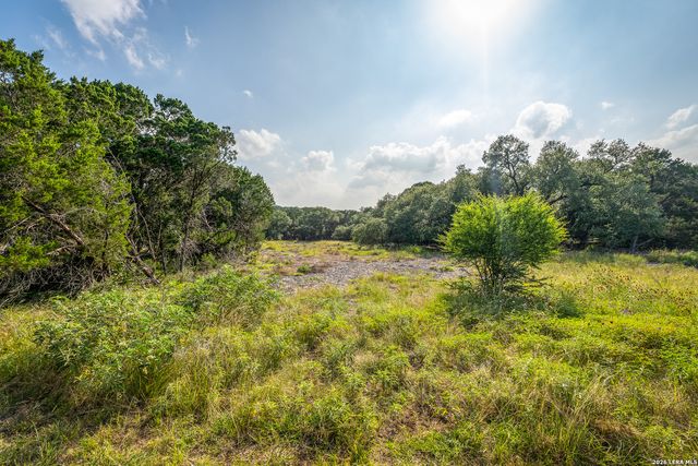 9918 KOPPLIN RD, New Braunfels, TX 78132