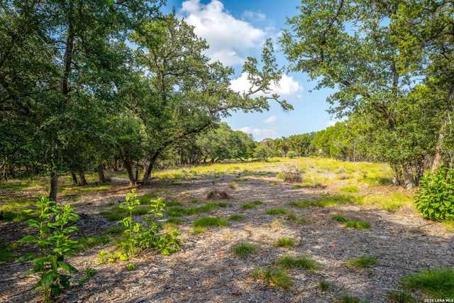 9918 KOPPLIN RD, New Braunfels, TX 78132