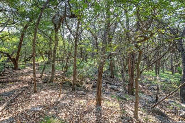 9918 KOPPLIN RD, New Braunfels, TX 78132