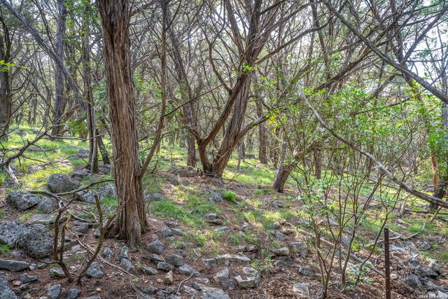 9918 KOPPLIN RD, New Braunfels, TX 78132