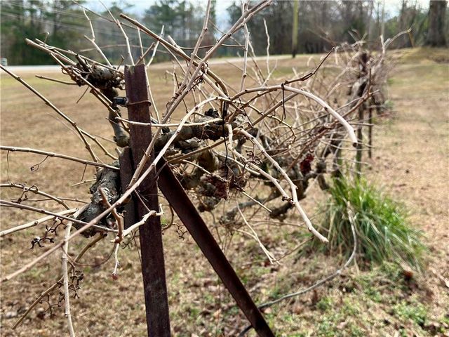 3232 Bevis Road, Franklin, GA 30217