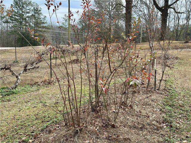 3232 Bevis Road, Franklin, GA 30217