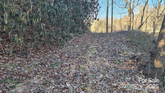 4 Coke Candler Lane, Candler, NC 28715