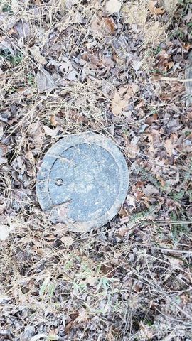 4 Coke Candler Lane, Candler, NC 28715