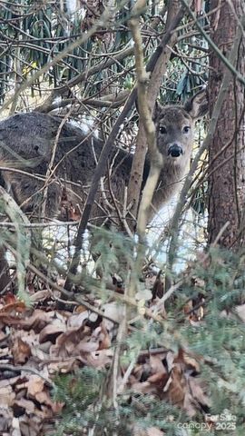 4 Coke Candler Lane, Candler, NC 28715