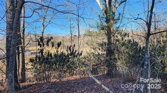 4 Coke Candler Lane, Candler, NC 28715