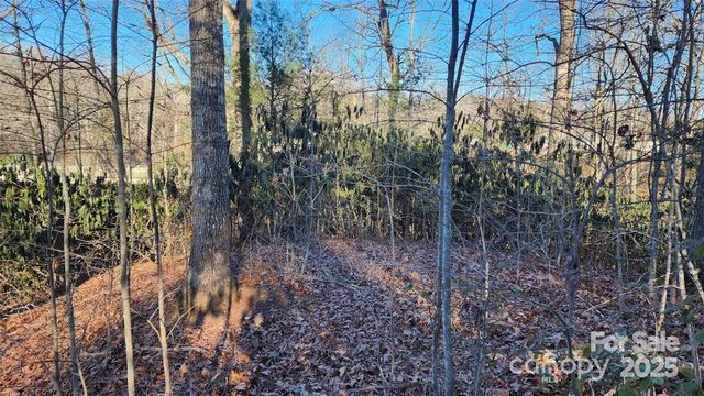 4 Coke Candler Lane, Candler, NC 28715
