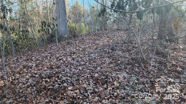 4 Coke Candler Lane, Candler, NC 28715