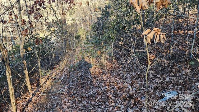 4 Coke Candler Lane, Candler, NC 28715