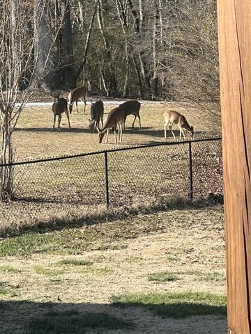 1725 Green Pond Road, Soddy Daisy, TN 37379