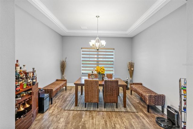 19412 LONESOME PINE DRIVE, Land O Lakes, FL 34638