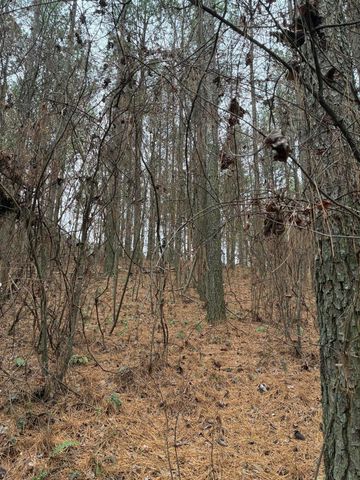 3715 Split Rail Way, Guild, TN 37340