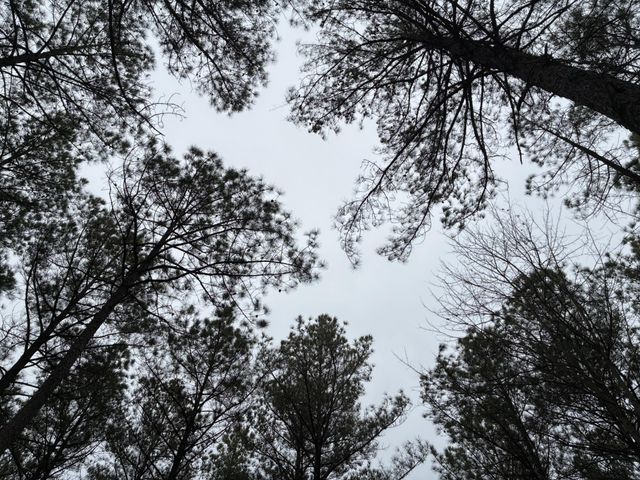 3715 Split Rail Way, Guild, TN 37340