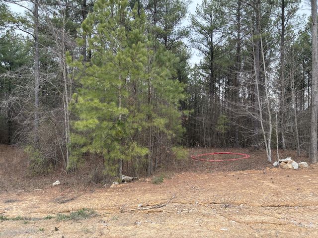 3715 Split Rail Way, Guild, TN 37340