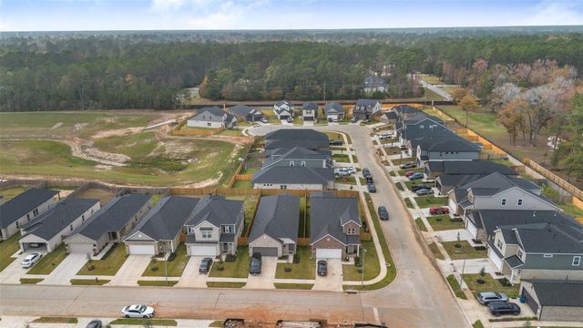 10249 Badger Run Lane, Magnolia, TX 77354