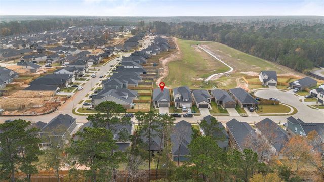 10249 Badger Run Lane, Magnolia, TX 77354