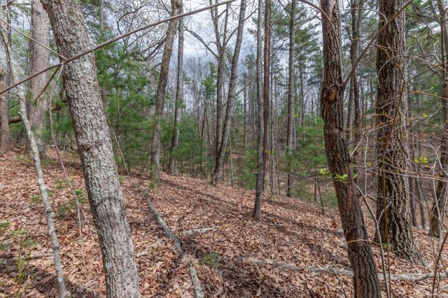 Lot 7A Glenridge Way, Ellijay, GA 30540