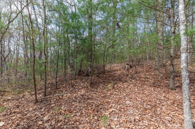 Lot 7A Glenridge Way, Ellijay, GA 30540