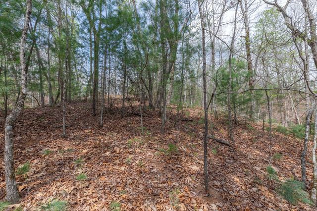 Lot 7A Glenridge Way, Ellijay, GA 30540