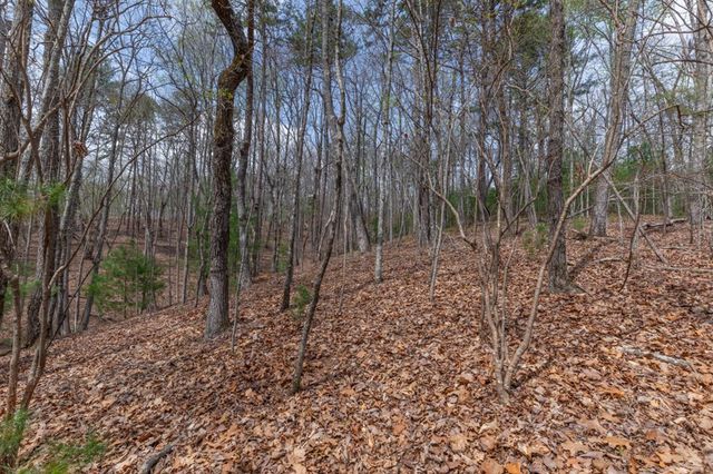 Lot 7A Glenridge Way, Ellijay, GA 30540