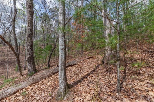 Lot 7A Glenridge Way, Ellijay, GA 30540