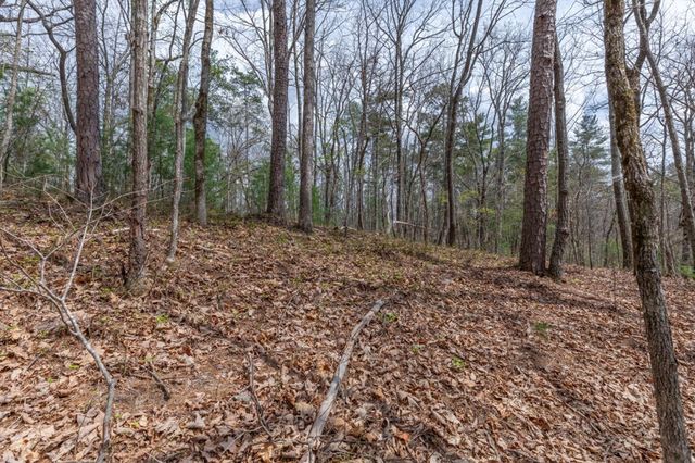 Lot 7A Glenridge Way, Ellijay, GA 30540