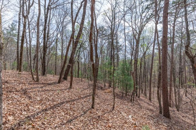 Lot 7A Glenridge Way, Ellijay, GA 30540