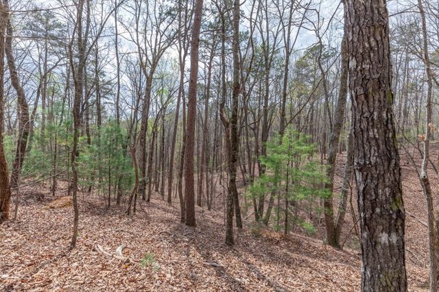 Lot 7A Glenridge Way, Ellijay, GA 30540