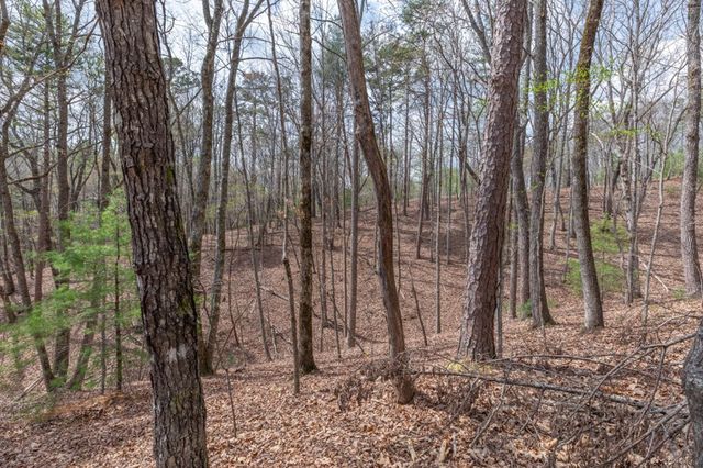 Lot 7A Glenridge Way, Ellijay, GA 30540