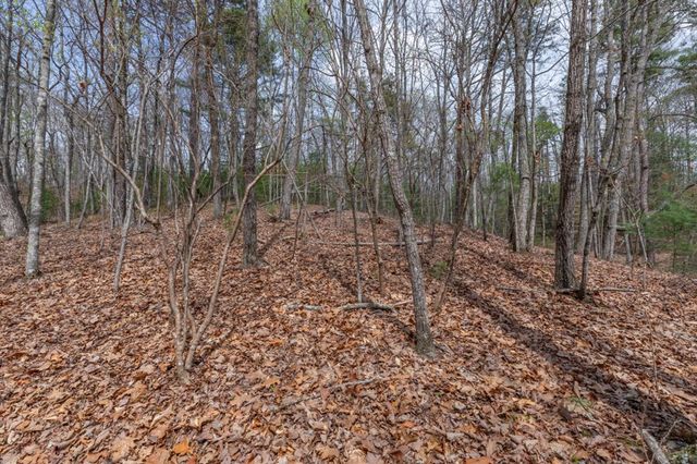 Lot 7A Glenridge Way, Ellijay, GA 30540