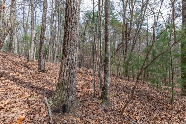 Lot 7A Glenridge Way, Ellijay, GA 30540