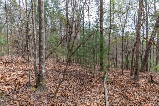 Lot 7A Glenridge Way, Ellijay, GA 30540