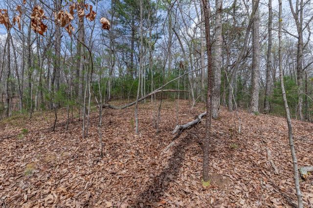 Lot 7A Glenridge Way, Ellijay, GA 30540