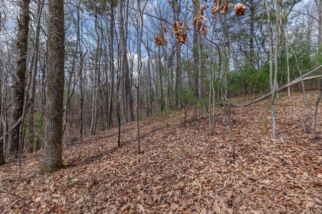Lot 7A Glenridge Way, Ellijay, GA 30540