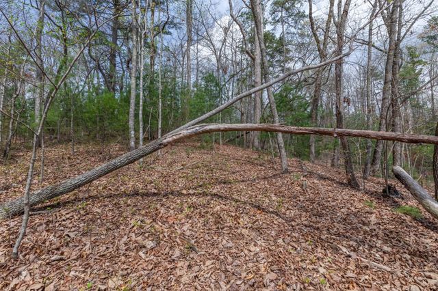 Lot 7A Glenridge Way, Ellijay, GA 30540