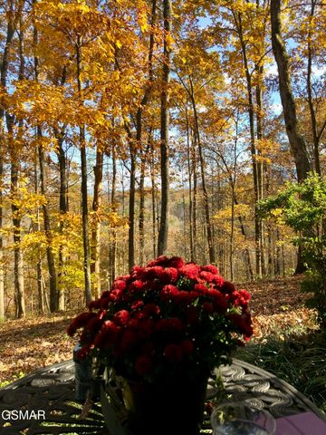 804 S Shiloh Road, Seymour, TN 37865