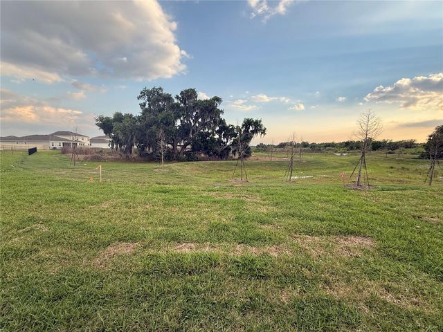 4005 WESTWOOD FIELDS LOOP 4005, Plant City, FL 33565