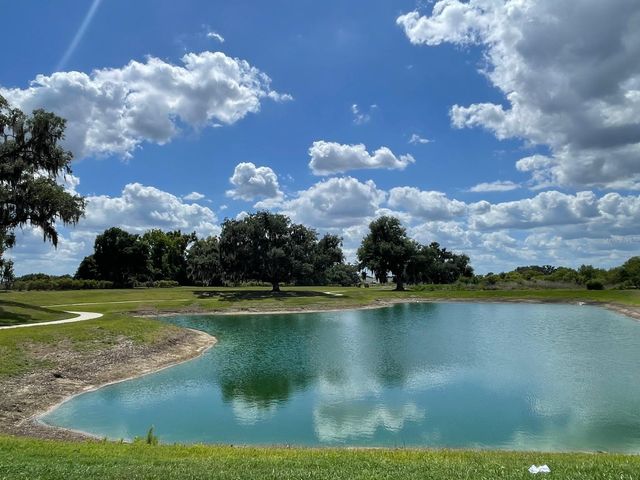 4005 WESTWOOD FIELDS LOOP 4005, Plant City, FL 33565