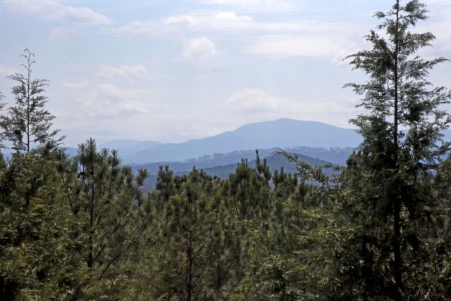 135 W Longview Drive, Blairsville, GA 30512