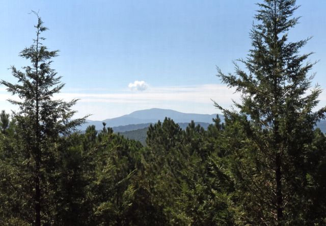 135 W Longview Drive, Blairsville, GA 30512