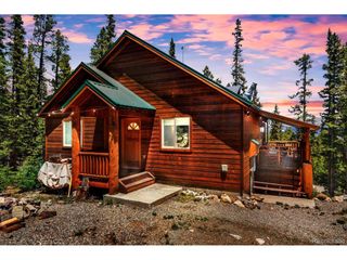 907 Bobcat Ln, Fairplay, CO 80440