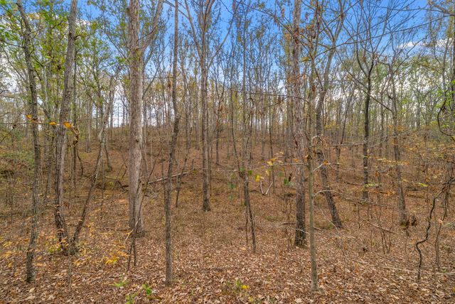 197 Old Homestead Rd, Big Sandy, TN 38221